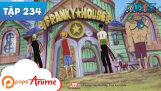 One Piece S8 - Tập 234: Cuộc tấn công nhà Franky