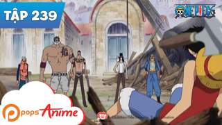 One Piece S8 - Tập 239: Thủ phạm là băng hải tặc Mũ Rơm