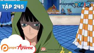 One Piece S8 - Tập 245: Quay về đi Robin. Đối chất với CP9