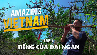 Amazing Vietnam - Tập 8: Tiếng của đại ngàn