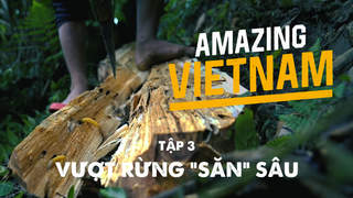 Amazing Vietnam - Tập 3: Vượt rừng "săn" sâu