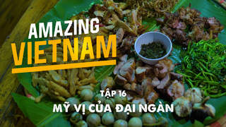 Amazing Vietnam - Tập 16: Mỹ vị của đại ngàn