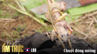 Nét ẩm thực Lào: Chuột đồng nướng