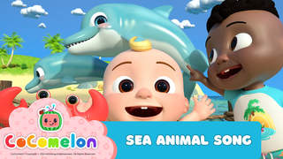 CoComelon: Sea Animal Song