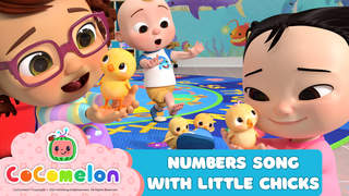 CoComelon: Numbers Song With Little Chicks