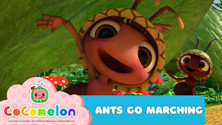 CoComelon: Ants Go Marching