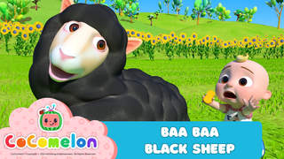 CoComelon: Baa Baa Black Sheep