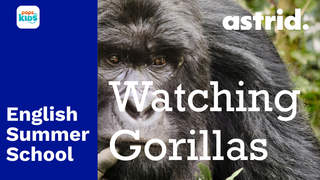 English Summer School - Tập 8: Watching Gorillas