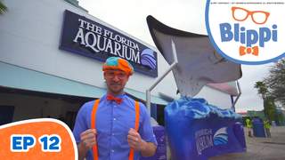 Blippi (English) - Ep 12: Blippi visits an aquarium (The Florida Aquarium)