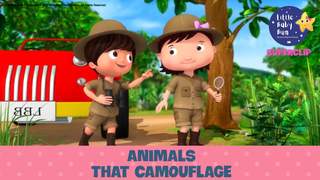 Little Baby Bum - Superclip 27: Animals That Camouflage