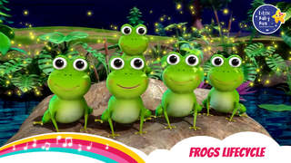 Little Baby Bum: Frogs Lifecycle