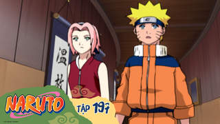 Naruto S5 - Tập 197: Biến cố lớn! 11 Ninja Làng Lá tề tụ đông đủ