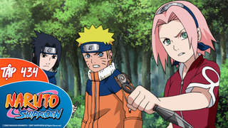 Naruto Shippuden S20 - Tập 434: Jiraiya nhẫn pháp truyện - Truyền kỳ Naruto hào kiệt. Đội Jiraiya