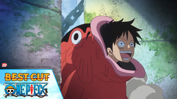 One Piece Best Cut Tập 667 Fujitora đối đầu Doflamingo Pops