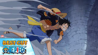 One Piece - Best cut tập 672:  Bí mật về vị đội trưởng