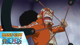 One Piece - Best cut tập 675: Cuộc gặp gỡ định mệnh