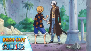 One Piece - Best cut tập 697: Người cứu lấy Dressrosa
