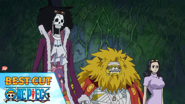 One Piece Best Cut Tập 771 Lời Hứa Giữa Hai Người đan Ong Pops