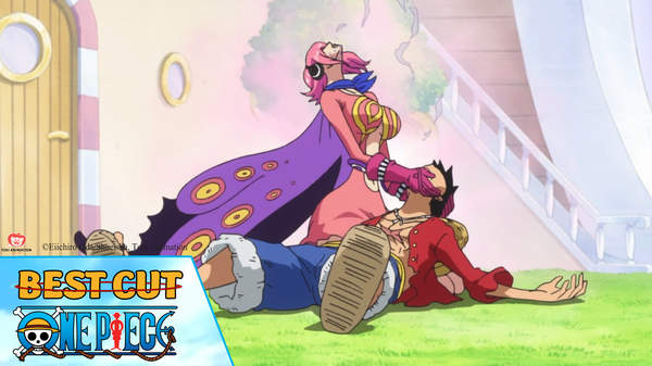 One Piece Best Cut Tập 786 Tứ Hoang Big Mom Xuất Hiện Pops