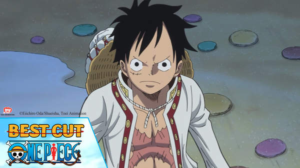 One Piece Best Cut Tập 798 đối Thủ 800 Triệu Pops