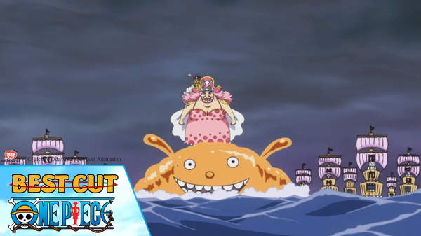 One Piece Best Cut Tập 853 Người Lai Tau Vo địch Jinbe Pops