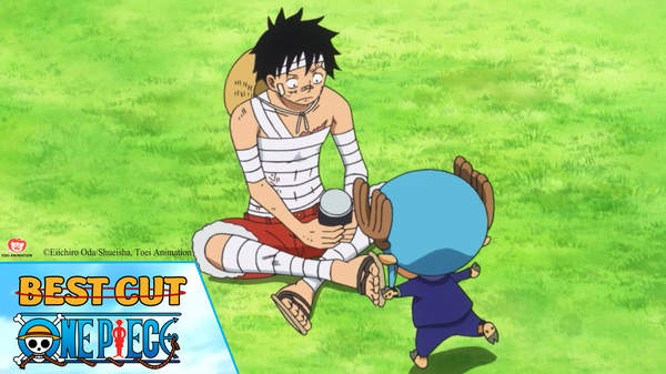 One Piece Best Cut Tập 878 Hoang đế Thứ 5 Của Biển Cả Xuất Hiện Pops