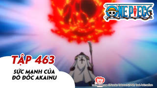 One Piece S14 Tập 463 Sức Mạnh Của đo đốc Akainu Pops