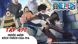 One Piece S14 - Tập 477: Hoóc môn kích thích của Iva