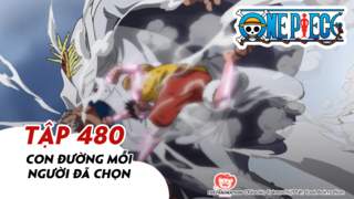 One Piece S14 - Tập 480: Con đường mỗi người đã chọn