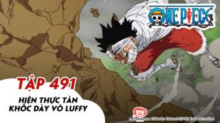 One Piece S14 - Tập 491: Hiện thực tàn khốc dày vò Luffy