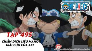 One Piece S14 - Tập 495: Chiến dịch liều mạng giải cứu của Ace