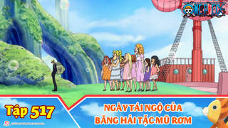 One Piece S15 - Tập 517: Ngày tái ngộ của băng hải tặc Mũ Rơm