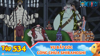 One Piece S15 - Tập 534: Vụ bắt cóc công chúa Shirahoshi