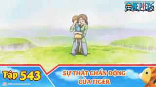 One Piece S15 - Tập 543: Sự thật chấn động của Tiger