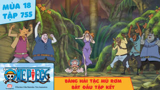 One Piece S18 - Tập 755: Băng hải tặc Mũ Rơm bắt đầu tập kết