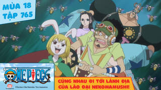One Piece S18 - Tập 765: Cùng nhau đi tới lãnh địa của Lão Đại Nekomamushi!