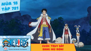 One Piece S18 - Tập 781: Cuộc truy bắt băng Mũ Rơm!