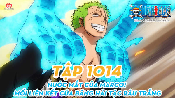 One Piece S20 - Tập 1014: Nước Mắt Của Marco! Mối Liên Kết Của Băng Hải Tặc  Râu Trắng | Pops