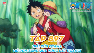 One Piece S20 - Tập 897: Giải cứu Otama, Mũ Rơm băng qua vùng đất hoang!