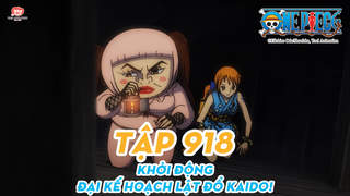 One Piece S20 - Tập 918: Khởi động. Đại kế hoạch lật đổ Kaido!