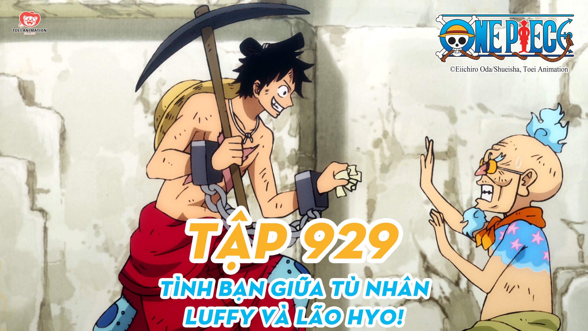 One Piece S20 T p 929 T nh b n gi a t nh n. Luffy v l o Hyo POPS