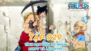 One Piece S20 - Tập 929: Tình bạn giữa tù nhân. Luffy và lão Hyo!