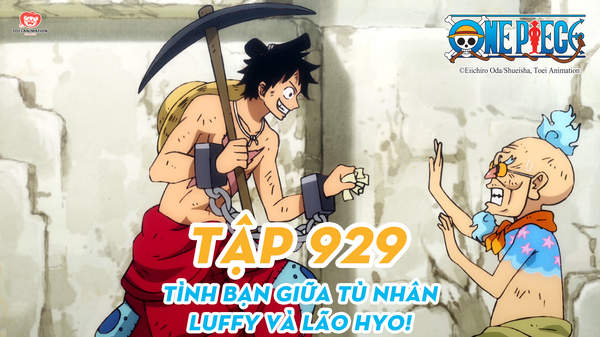 One Piece S20 - Tập 929: Tình Bạn Giữa Tù Nhân. Luffy Và Lão Hyo! | Pops