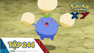 Pokémon S18 - Tập 244: Trận chiến nhà thi đấu Hiyoku!
