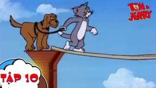 Tom and Jerry show - Tập 10: Chú cáo gian manh
