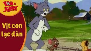 Tom and Jerry - Tập 30: Vịt con lạc đàn